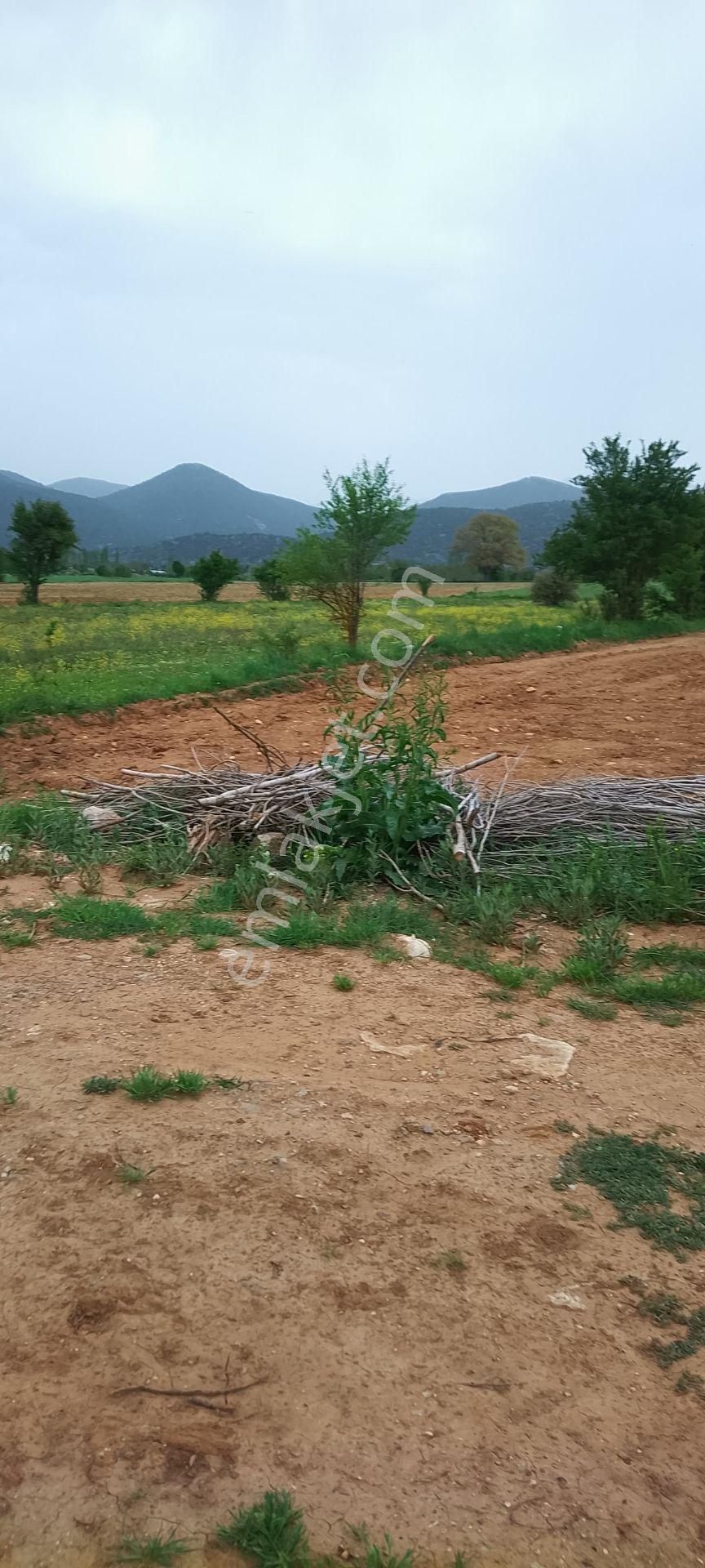 Burdur Ağlasun Hisarköy' De Kadastro Yolu Sulama Suyu Olan Satılık Tarla - BURDUR AĞLASUN fotoğraf 8